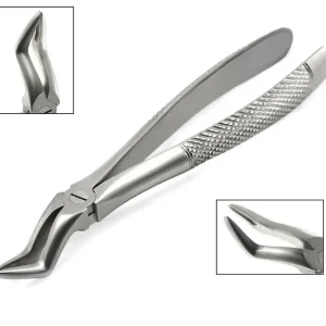 Dental Extraction Forceps