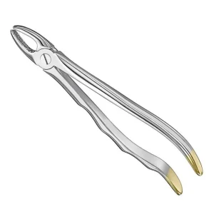 Dental Extraction Forceps